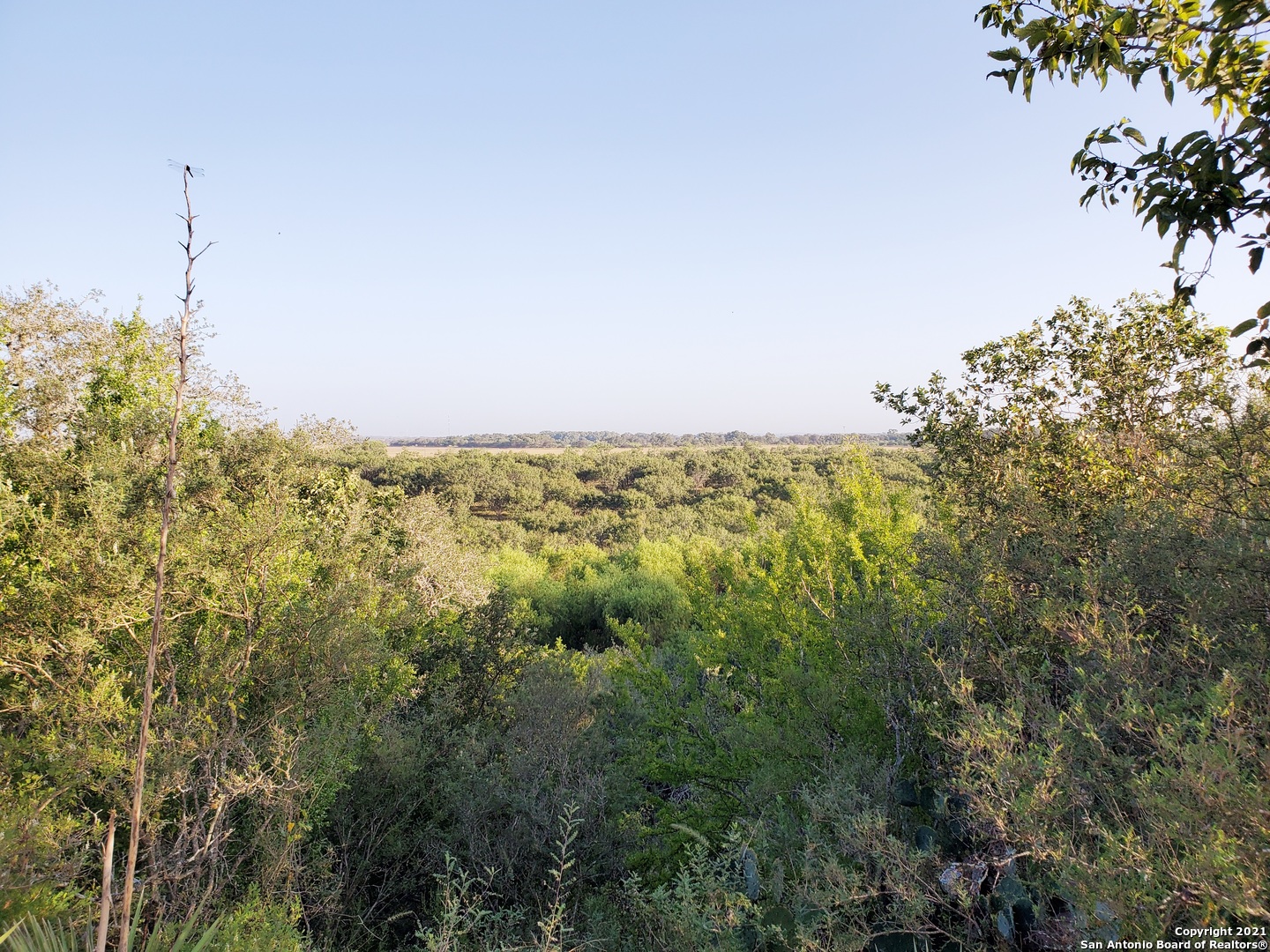 LOOKING FOR A RANCH WITH NATIVE WOODLANDS AND PLENTIFUL HUNTING AND RECREATIONAL OPPORTUNITIES, ALONG WITH ACREAGE FOR GRAZING AND HAY PRODUCTION ? NOT TO MENTION HAY BARN,WORKING PENS,AND A 40X40 SHOP ? ONLY 30 MINUTES FROM SAN ANTONIO AND 5 MINUTES FROM HEB OR WALMART ? IMPOSSIBLE YOU SAY? THINK AGAIN !! THIS HOME AND 38.06 ACRES IS TAKEN OUT OF A LARGER 106 ACRE PARCEL. THE ADDITIONAL ACREAGE IS ALSO AVAILABLE FOR PURCHASE,(SEE MLS # 160312 )