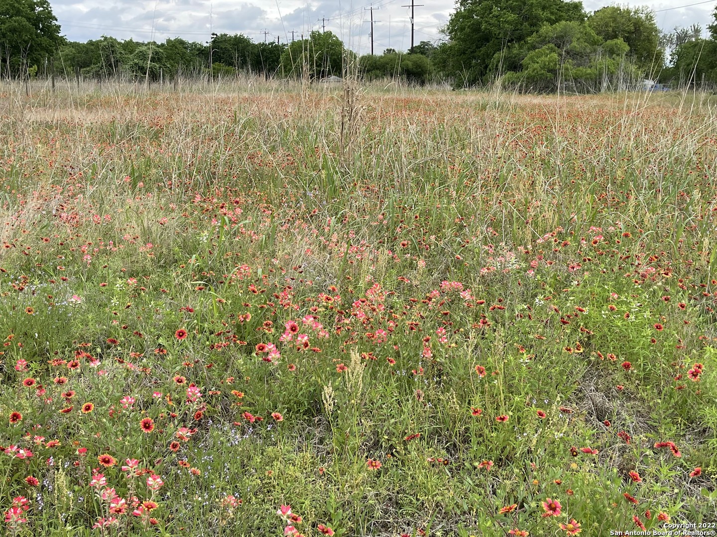 Over 80 acres of unrestricted property in San Antonio with access to Pleasanton Rd! Development opportunity, own your own ranch! Property was never surveyed but has metes and bounds, potential buyer to verify acreage. Additional acreage is available.