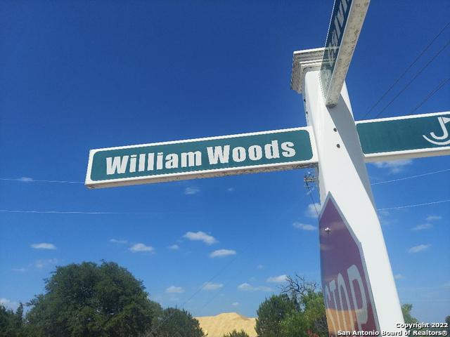 LOT 448 Williams wood, Blanco, TX 78606