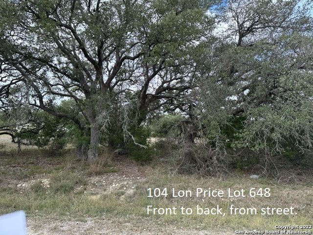 104 S Lon Price, Blanco, TX 78606